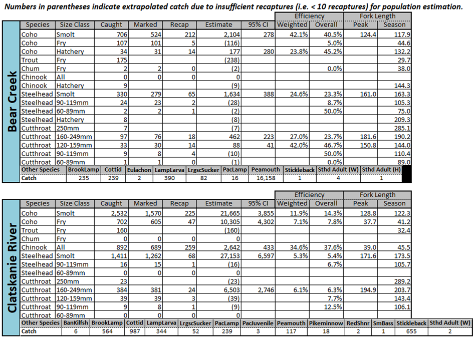Table showing screw trap catch and population estimates through 5-17-2020 for Bear Creek and Clatskanie River
