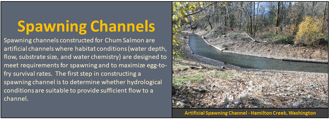 Spawning Channels: Spawning channels constructed for Chum Salmon are artificial channels where habitat conditions (water depth, flow, substrate size, and water chemistry) are designed to meet requirements for spawning and to maximize egg-to-fry survival rates. The first step in constructing a spawning channel is to determine whether hydrological conditions are suitable to provide sufficient flow to a channel.