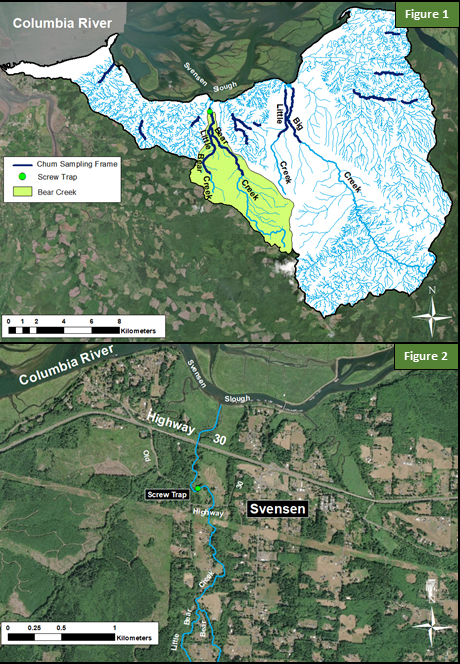Map of Bear Creek, Juvenile Chum Salmon monitoring, Figures 1 and 2