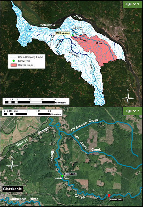 Beaver Creek Map, Juvenile Chum Monitoring, Figures 1 and 2