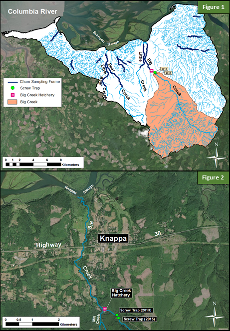 Map of Big Creek, Juvenile Chum Monitoring, Figures 1 and 2
