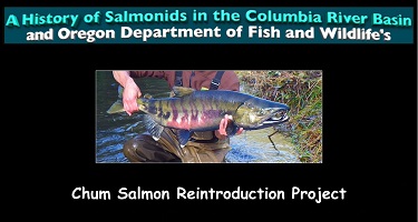 Video screen shot: A History of Salmonids in the Columbia River Basin and ODFW's Chum Project