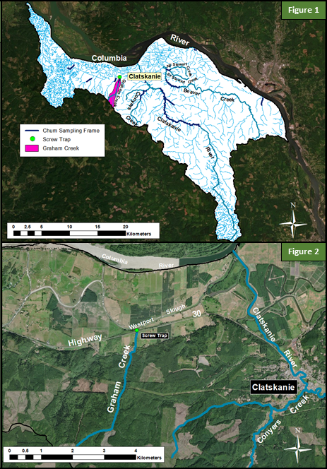 Graham Creek Map, Juvenile Chum Monitoring, Figures 1 and 2