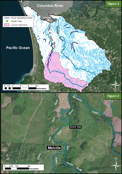 Lewis and Clark River Juvenile Monitoring maps, Figures 1 and 2.