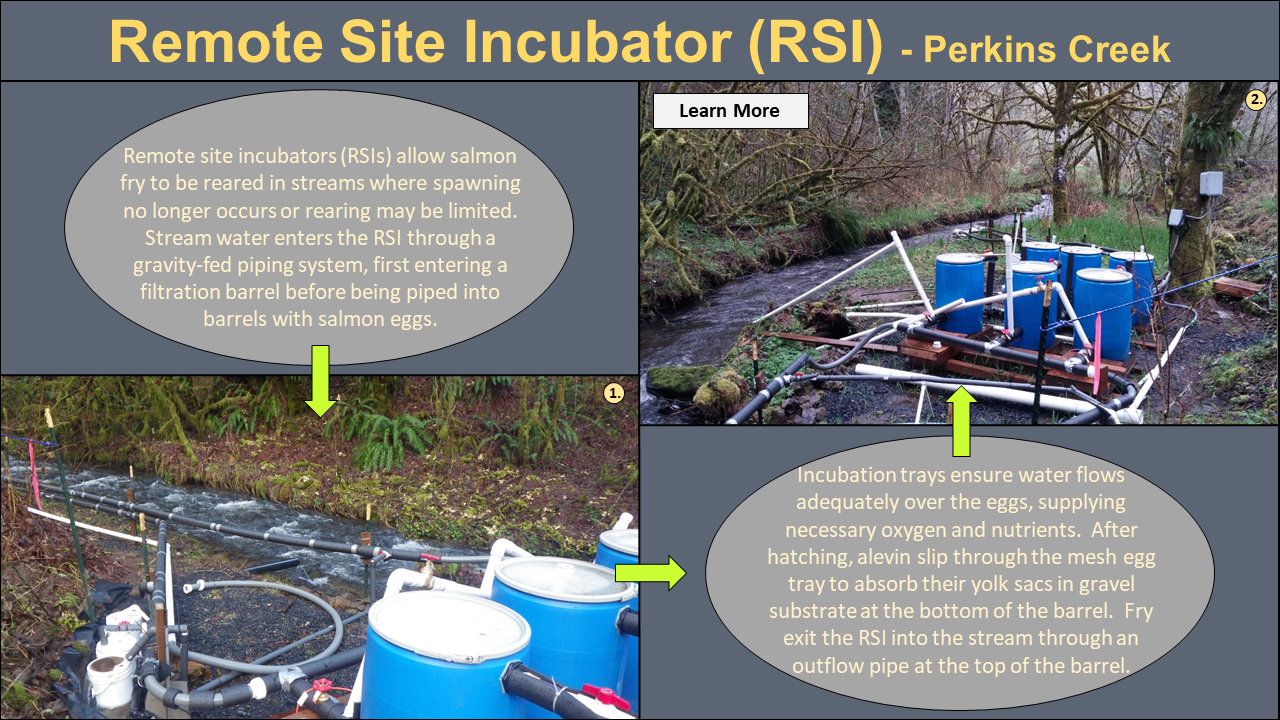 Remote Site Incubator (RSI) - Perkins Creek