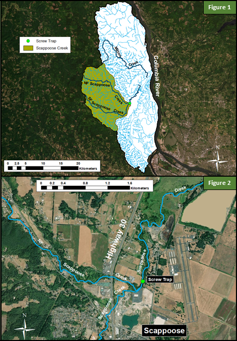 Scappoose Creek Map, Juvenile Chum Monitoring, Figures 1 and 2