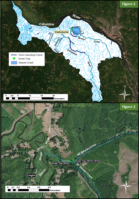 Stewart Creek Map, Juvenile Chum Monitoring, Figures 1 and 2