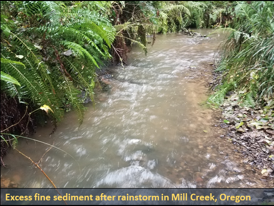 Excess sediment after rainstorm in Mill Creek, Oregon