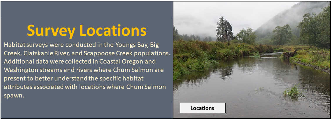 Survey Locations: Habitat surveys were conducted in the Youngs Bay, Big Creek, Clatskanie River, and Scappoose Creek populations. Additional data were collected in Coastal Oregon and Washington streams and rivers where Chum Salmon are present to better understand the specific ha bi tat attributes associated with locations where Chum Salmon spawn.