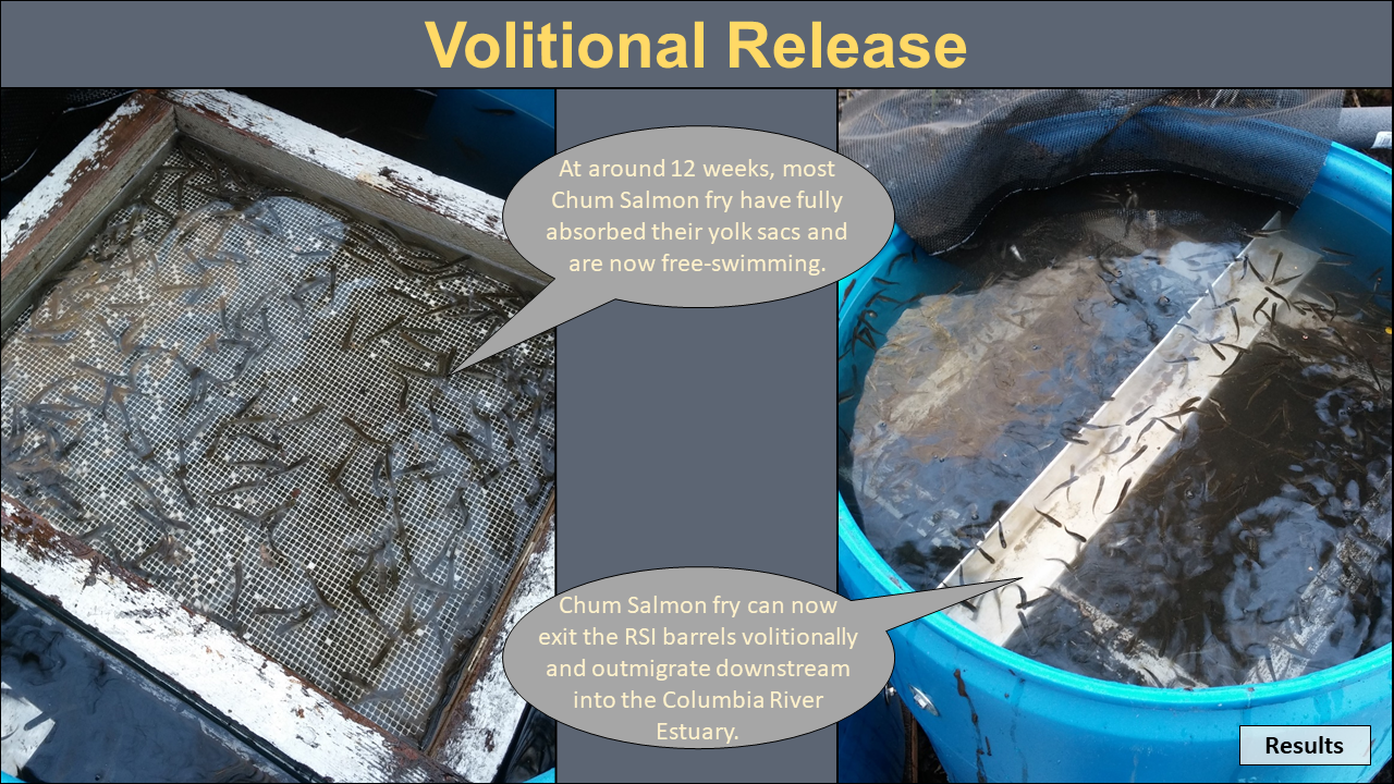 Volitional Release